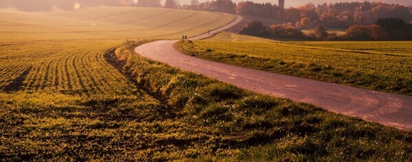 Programma bekend bijeenkomst Notenteelt als verdienmodel in de fruitteelt en agroforestry